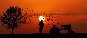 sunset, farmer, tractor-3812820.jpg